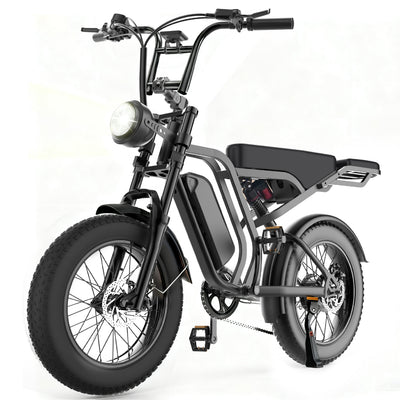 All  Mountain Ebike