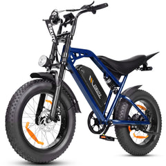V202 All-Terrain E-Bike – 80 km Range, 25 km/h, Dual Suspension, Removable Throttle