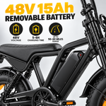 V8Max 250W fat tire mountain EBike for adult