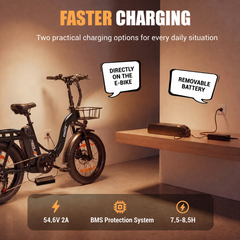 D202 Folding E-Bike – 100 km Range, 25 km/h, Folds to 61×85 cm, StVZO Certified