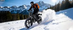 V20-52V20AH Electric Bike for Adults 20" x 4.0, Removable Battery 52V 15/20Ah, 160/190 Km Range, Double Suspension Electric Bicycle, 7 Speed Ebike