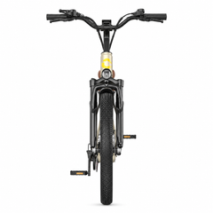 S600 E-bike – 250W Motor, 13Ah Battery, 100 km Range, Shimano 7-Speed