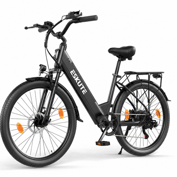 C100 Plus Ebike – 100 km Range, 250W Motor, Shimano 7-Speed