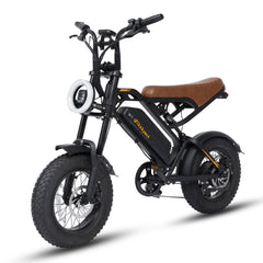 Bodywel M16 E Bike Men Women 16 x 4.0 Inch All Terrain E Fatbike City & Mountain