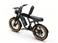 T2 | Off-road e-bike | Motor 500W | 62miles |28mph