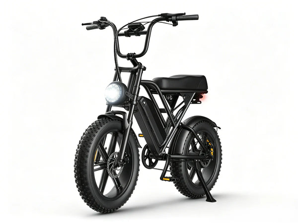 G60 | 1000W | 48V 15AH | 30mph | 150KG Load | F&R Suspension | 135*29*86CM