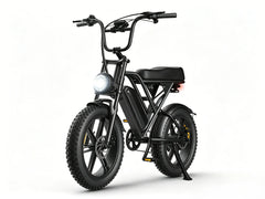 G60 | 1000W | 48V 15AH | 30mph | 150KG Load | F&R Suspension | 135*29*86CM