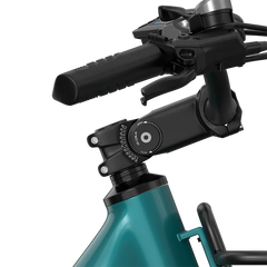 C1 Pro Electric Bike 25km/h