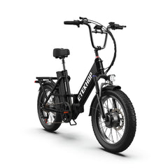 D20PRO 250W motor 36V 42.4Ah  40km/h