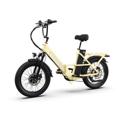 D20 PRO Dual Motor Electric Bike – 500W Total Motor Power, 120 km Range