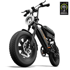 T16 16" Electric Bike, 500W Motor, 48V 13Ah Battery, 7-Speed