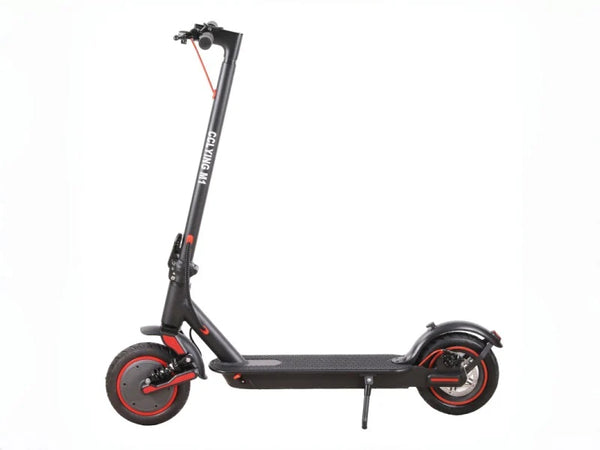 G3|18MPH|22miles|10inch|500w