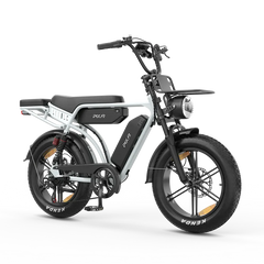 M9 Retro Electric Bike 25km/h