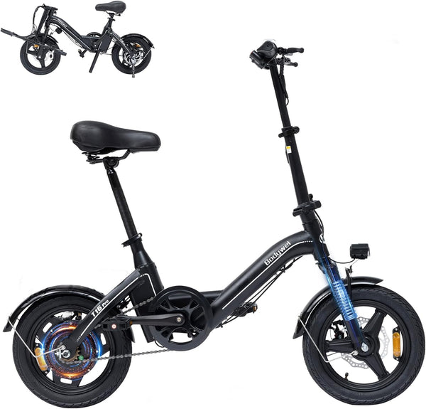 Fewardebike T16 Pro Mini Folding E-Bike