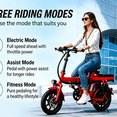Foldable Electric Bike for Adults, 800W Peak Motor,20MPH Ebike, 30 Miles Range