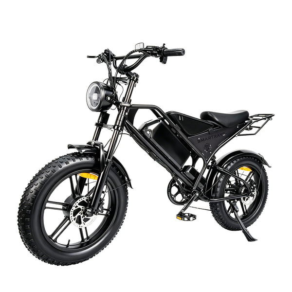 DK400Max Fat Tire Electric Bike – 250W Motor, 72 km Long Range