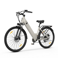 C1 Electric Bike 25km/h