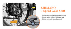 Bodywel F20 E-Bike Adulto 48V 15Ah Batteria 250W Motore 25 km/h