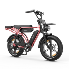 M9 Retro Electric Bike 25km/h