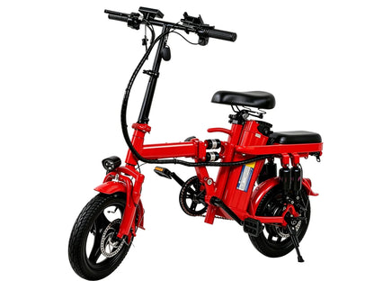 Foldable Electric Bike for Adults, 800W Peak Motor,20MPH Ebike, 30 Miles Range