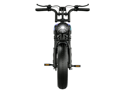 F30 Mountain electric vehicle  | 1500W | 48V 20AH | 65miles | 32MPH