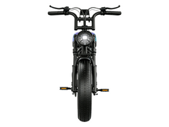 F30 Mountain electric vehicle  | 1500W | 48V 20AH | 65miles | 32MPH