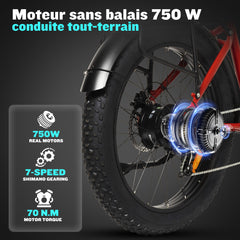 DT20  200w