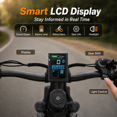 XT90  E-bike – 250W Motor, 100 km Range, Shimano 21-Speed