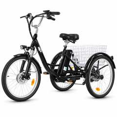 M300 Electric Tricycle – 250W  36V 15Ah  24"×2.125" Tyres