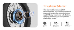 Bodywel F20 E-Bike Adulto 48V 15Ah Batteria 250W Motore 25 km/h