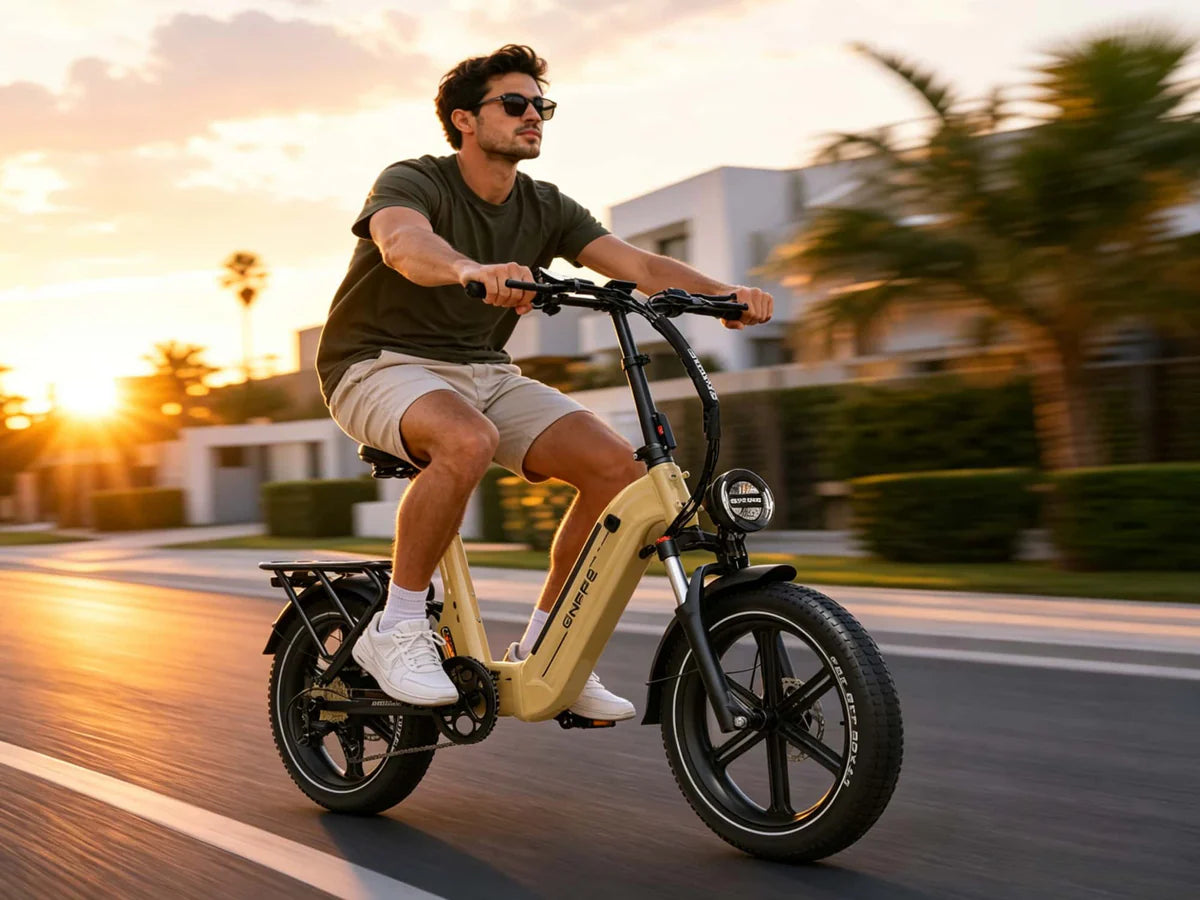 EF1 |E-bike |750W motor| 48V/22.5AH | 32 Mph |