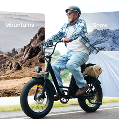 E20 PRO 48V750W High‑Carbon Steel Electric Bike 20*4.0 Fat Tire 45km/h Max Speed