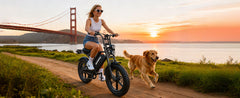 V20-52V20AH Electric Bike for Adults 20" x 4.0, Removable Battery 52V 15/20Ah, 160/190 Km Range, Double Suspension Electric Bicycle, 7 Speed Ebike