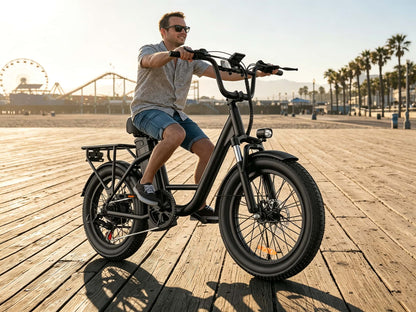 E20 | E-bike | Motor 500W | 15.5mph | 37miles |