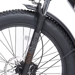 D6 electric bike for adults, 48V15Ah battery, 26×4.0" fat tires.