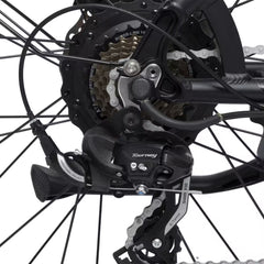 D6 electric bike for adults, 48V15Ah battery, 26×4.0" fat tires.