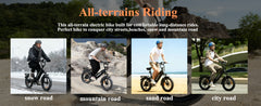 Bodywel F20 E-Bike Adulto 48V 15Ah Batteria 250W Motore 25 km/h