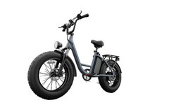 E20 PRO 48V750W High‑Carbon Steel Electric Bike 20*4.0 Fat Tire 45km/h Max Speed