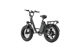 E20 PRO 48V750W High‑Carbon Steel Electric Bike 20*4.0 Fat Tire 45km/h Max Speed