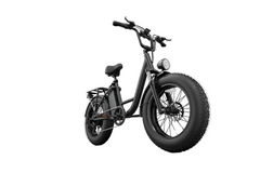 E20 PRO 48V750W High‑Carbon Steel Electric Bike 20*4.0 Fat Tire 45km/h Max Speed