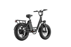 E20 PRO 48V750W High‑Carbon Steel Electric Bike 20*4.0 Fat Tire 45km/h Max Speed