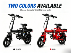 Foldable Electric Bike for Adults, 800W Peak Motor,20MPH Ebike, 30 Miles Range
