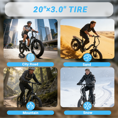 S1 E-Bike  250W Motor   36V 10.4Ah Battery 20" Fat Tires   Shimano 7-Speed