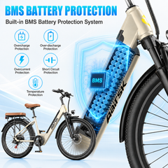 S600 E-bike – 250W Motor, 13Ah Battery, 100 km Range, Shimano 7-Speed