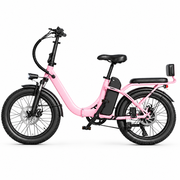 SE 750W Fat tire Ebike for adult