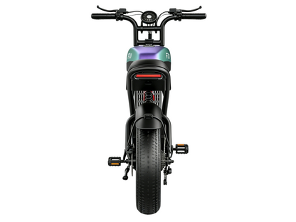 F30 Mountain electric vehicle  | 1500W | 48V 20AH | 65miles | 32MPH