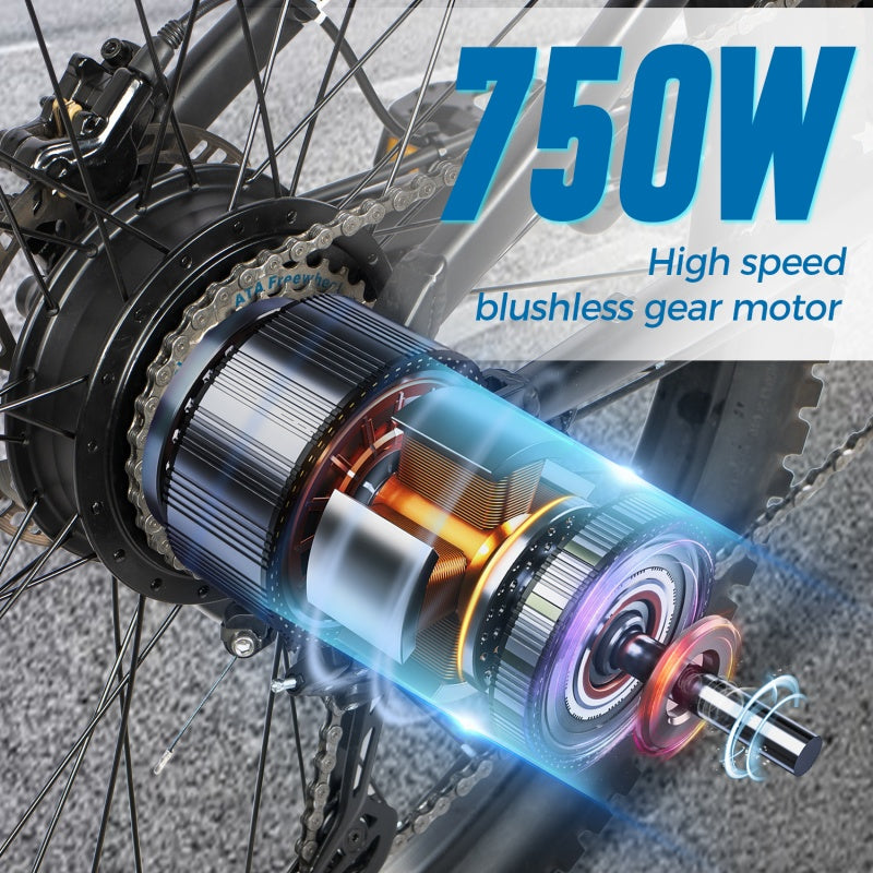 2 Model DH420 Motor 48V75oW high speed blushless gear motor Max speed 50KM/H