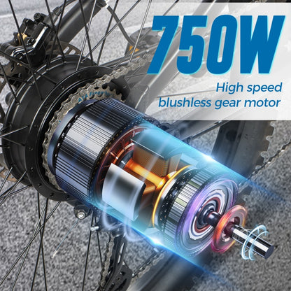 2 Model DH420 Motor 48V75oW high speed blushless gear motor Max speed 50KM/H