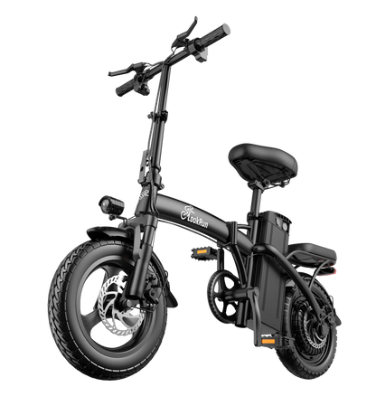 Lookrun G11| 800W| 48V 15Ah| 60-mile range