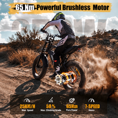 V202 All-Terrain E-Bike – 80 km Range, 25 km/h, Dual Suspension, Removable Throttle
